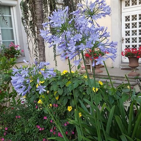 La Belle Vie B&B Montréal 외부 사진