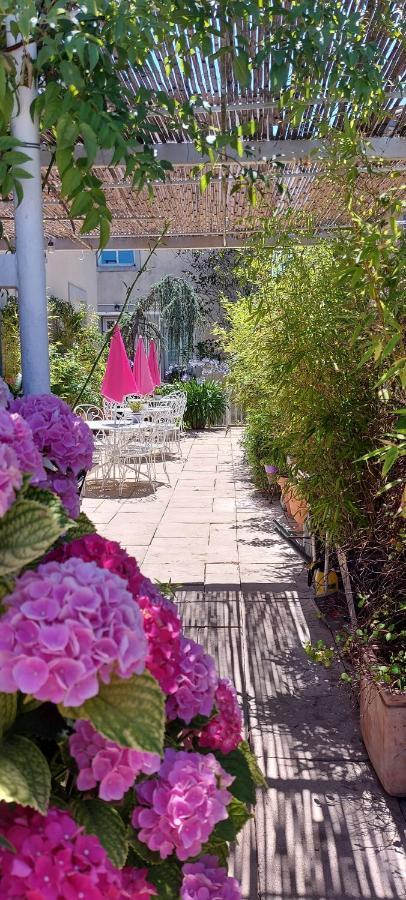 La Belle Vie B&B Montréal 외부 사진